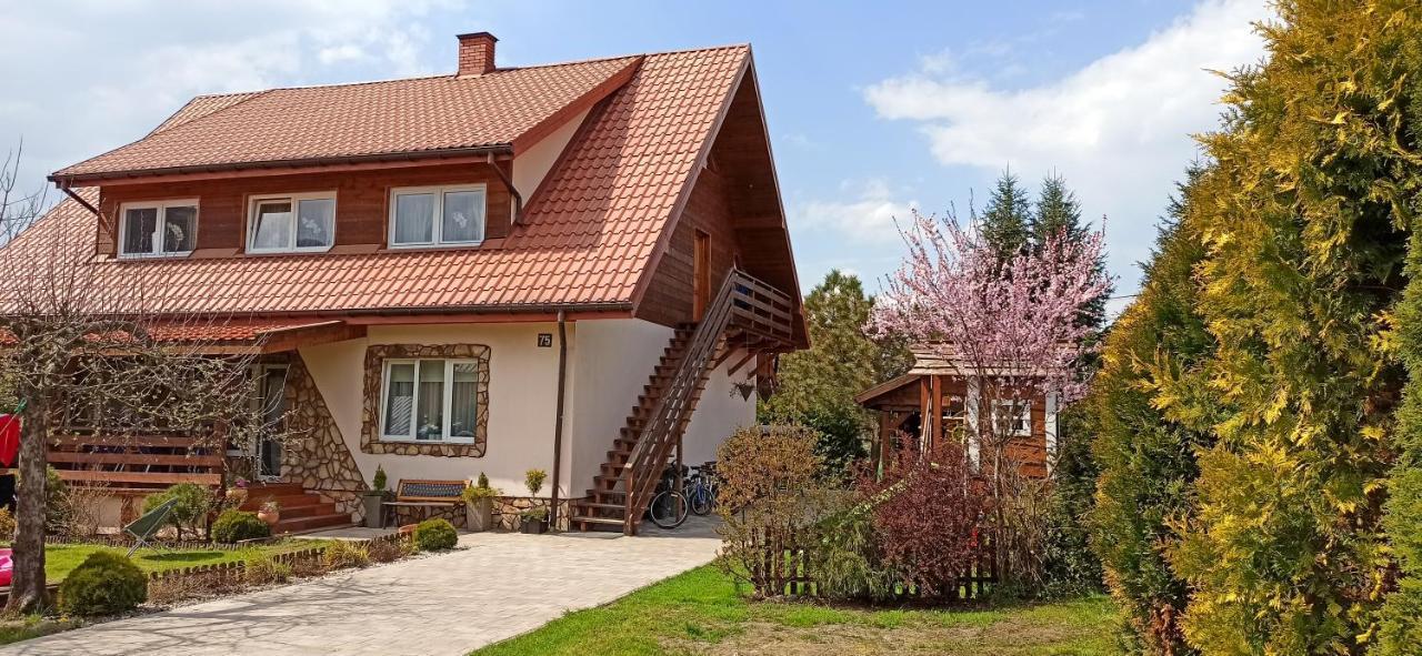 Rodzinny Zakatek "U Gluszkow" Bieszczady Мичківці Екстер'єр фото